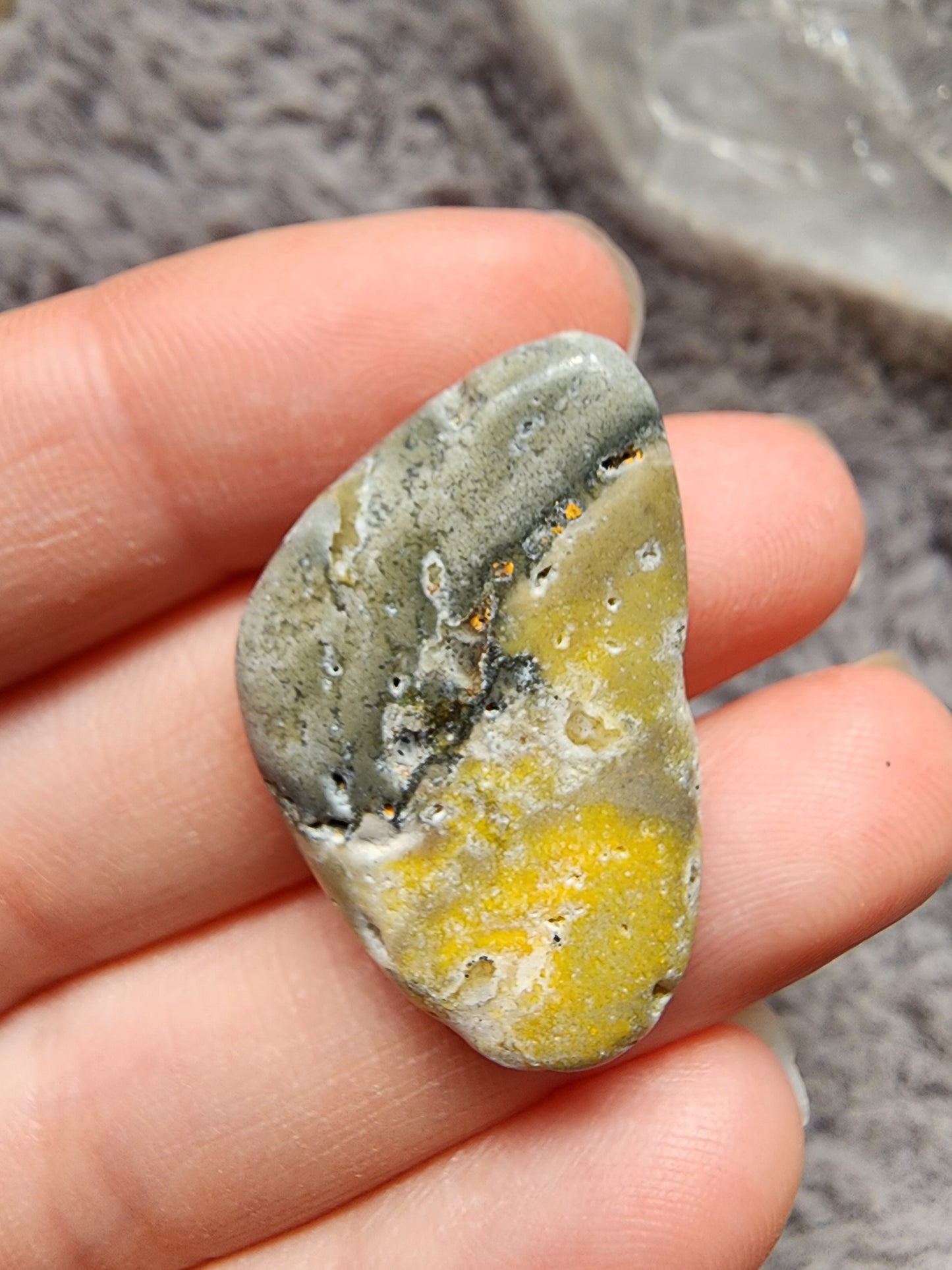 Bumblebee Jasper