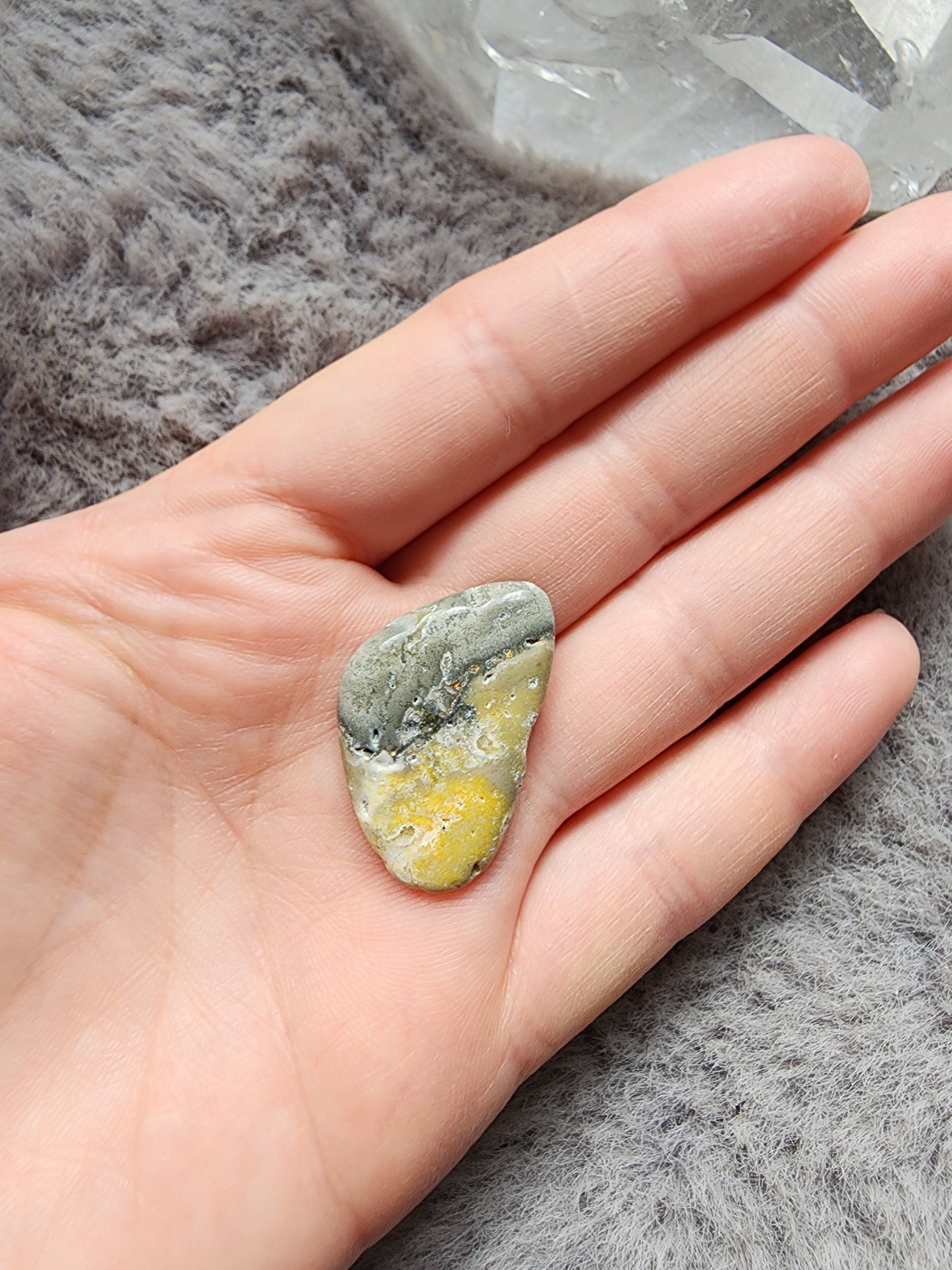 Bumblebee Jasper