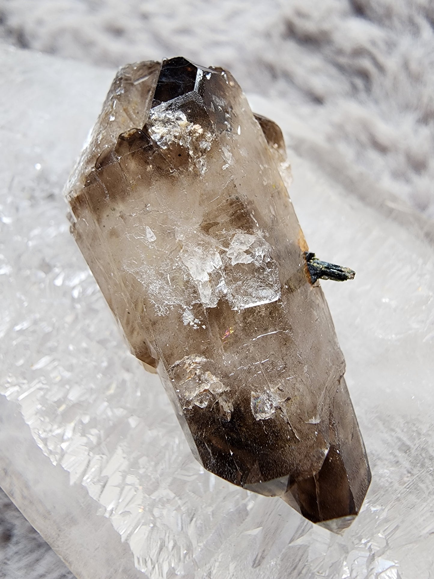 Smoky Quartz w/ Aegirine