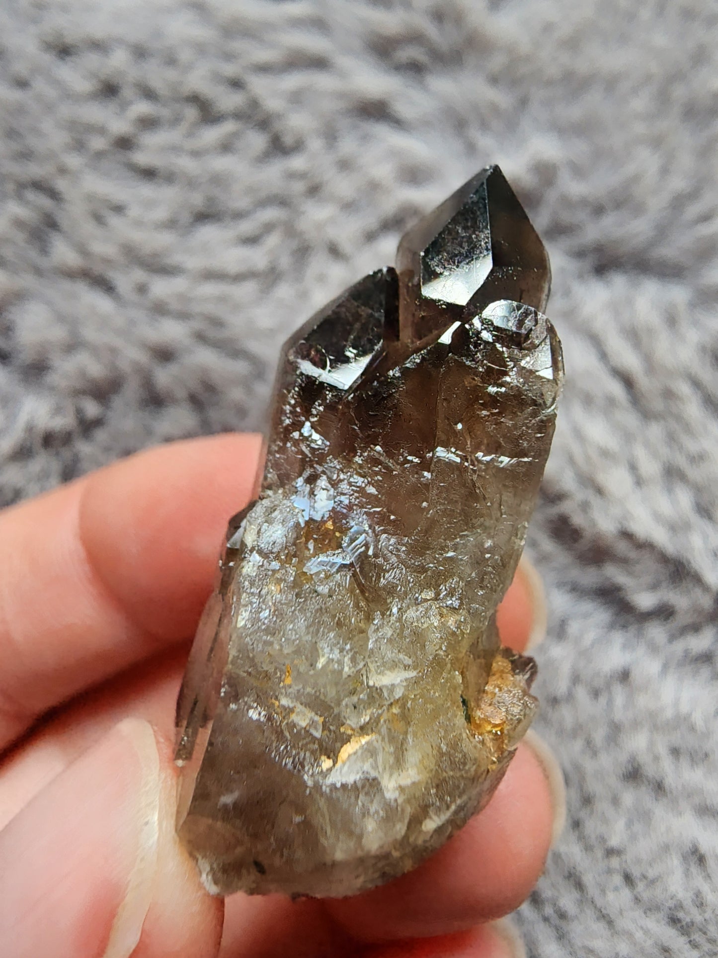 Smoky Quartz w/ Aegirine