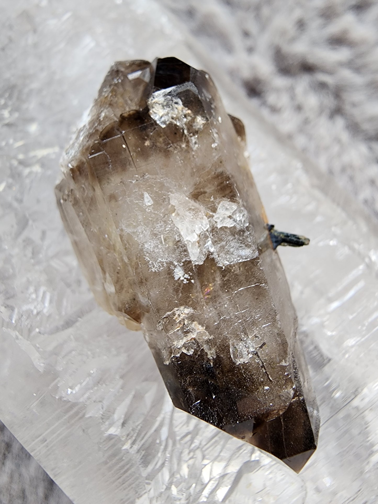 Smoky Quartz w/ Aegirine