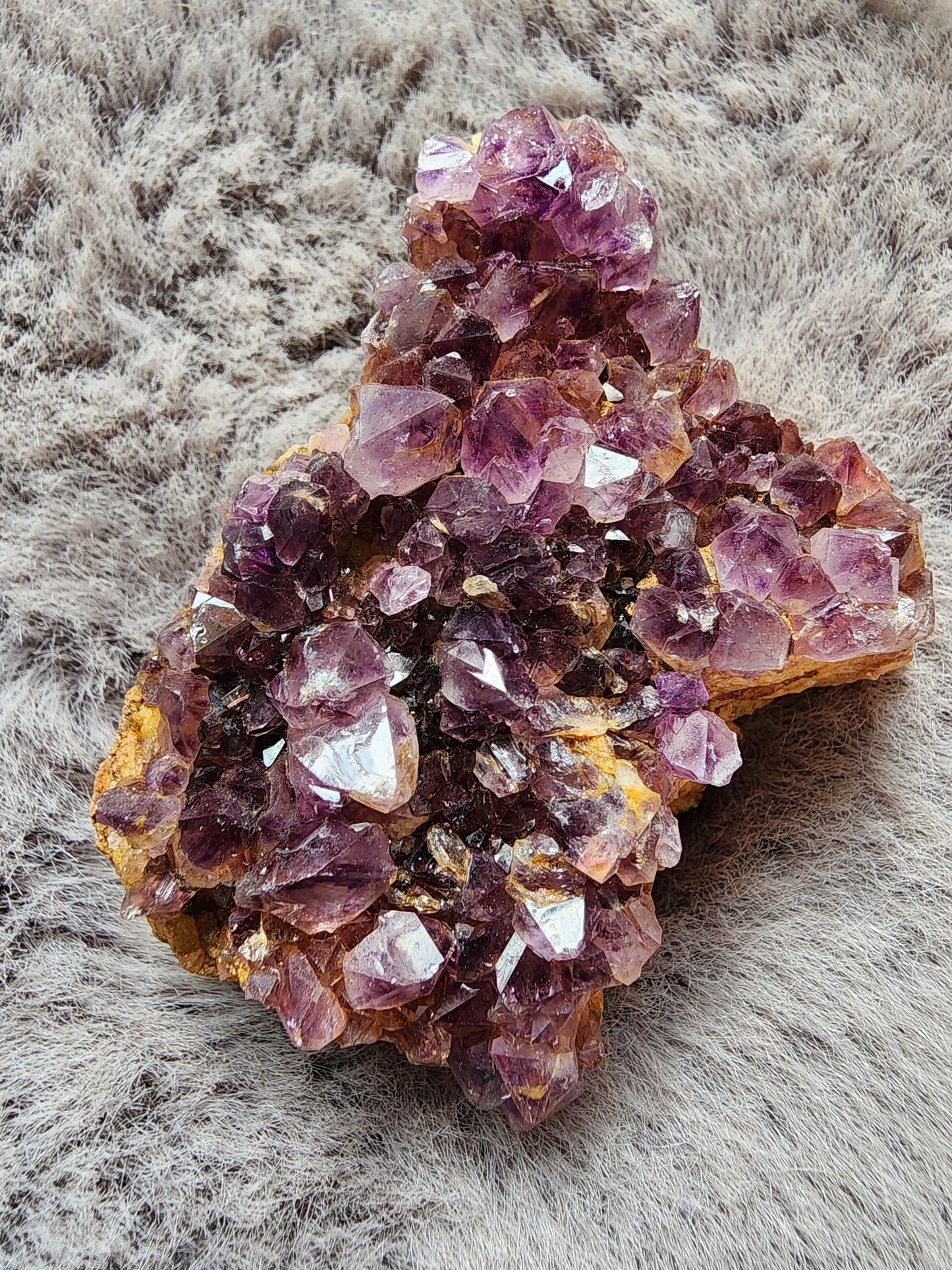 Amethyst Cluster