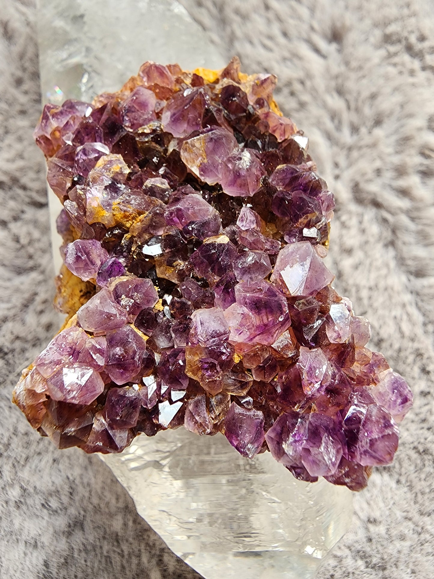Amethyst Cluster