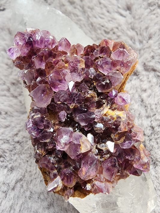 Amethyst Cluster