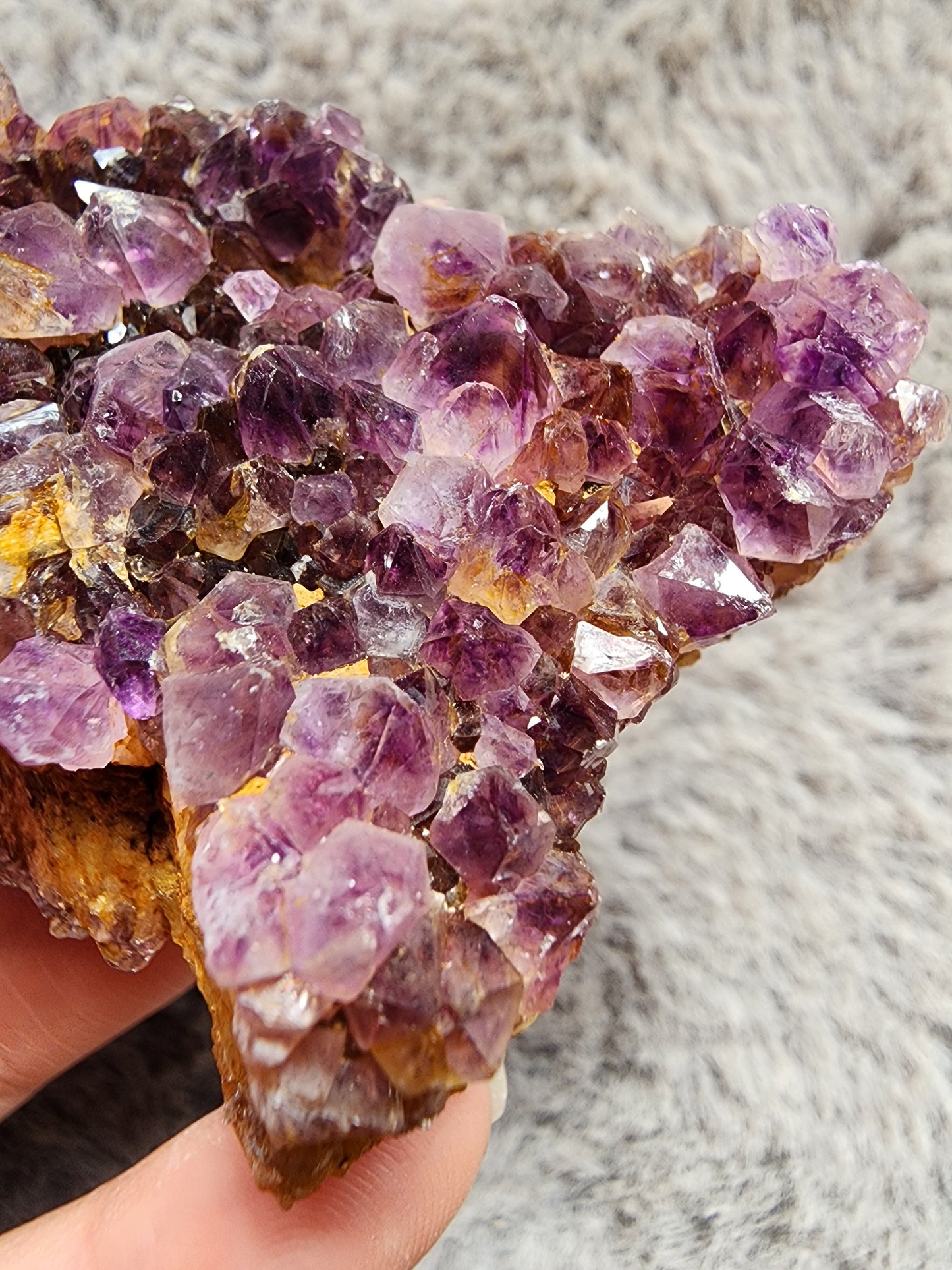 Amethyst Cluster