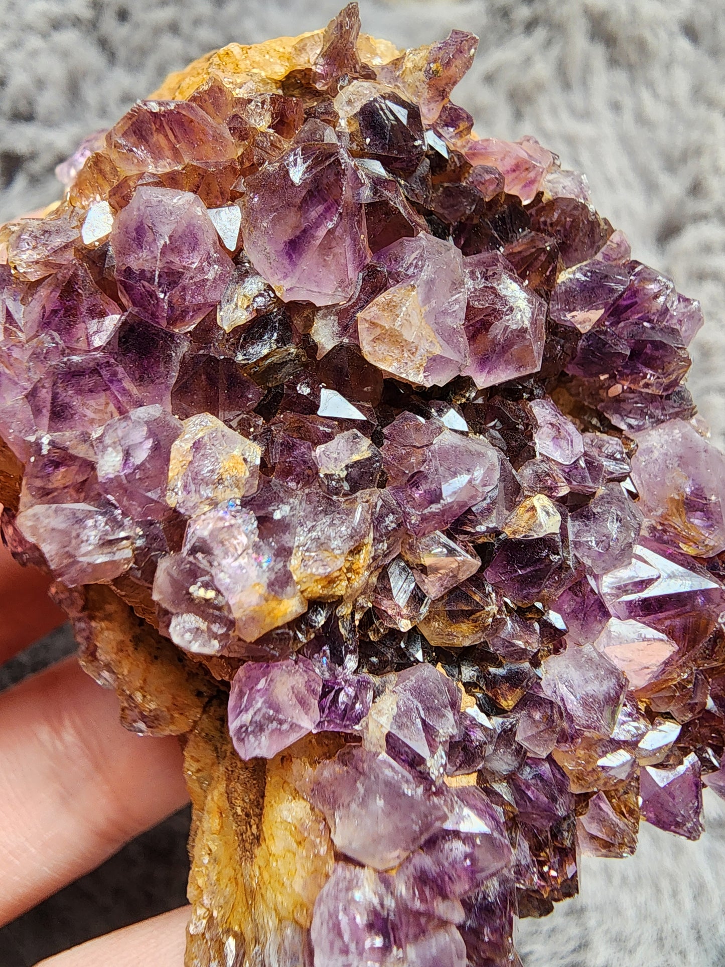 Amethyst Cluster
