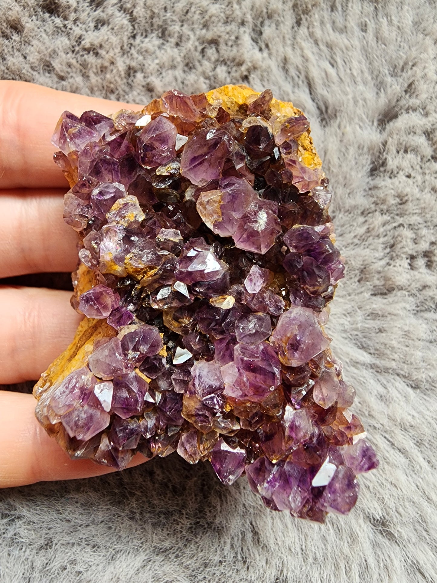 Amethyst Cluster