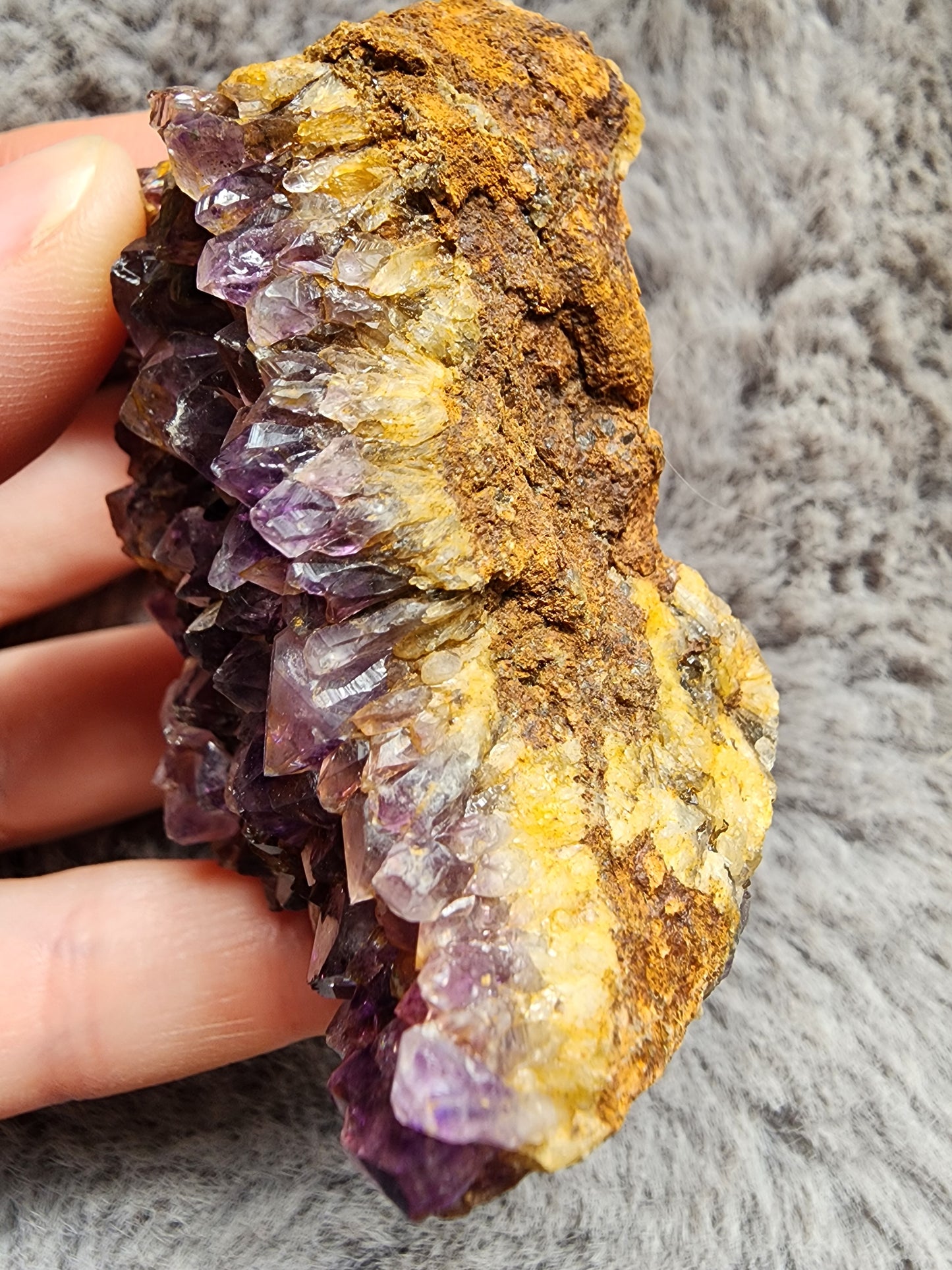 Amethyst Cluster
