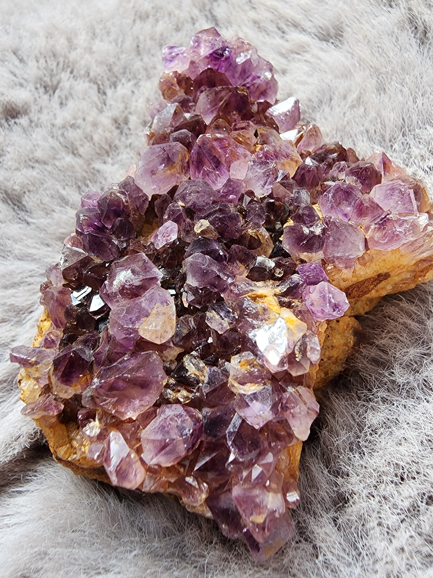 Amethyst Cluster