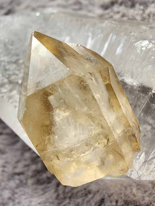 Congo Citrine