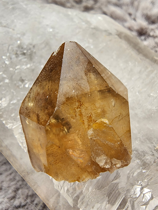 Congo Citrine