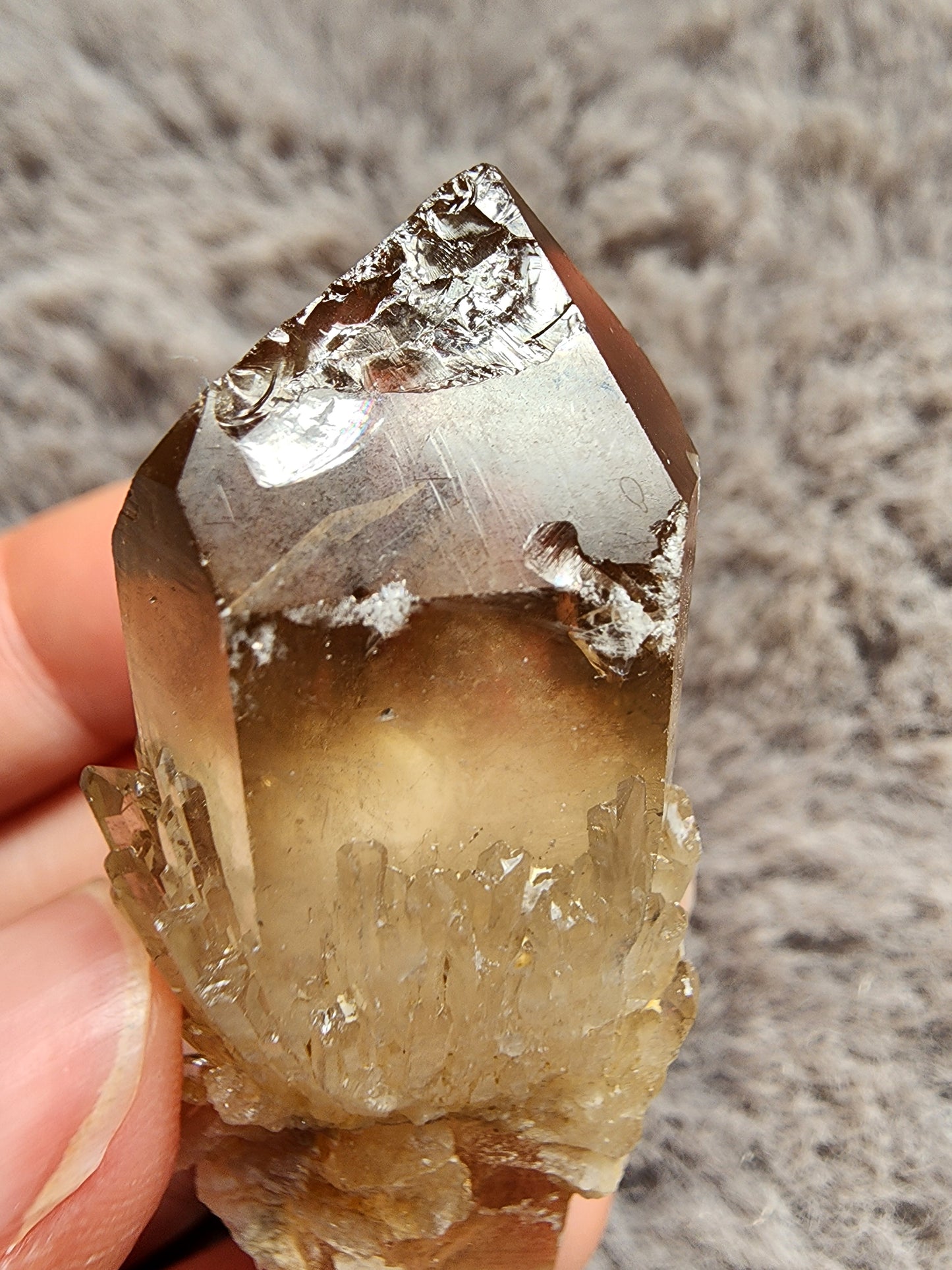 Congo Citrine