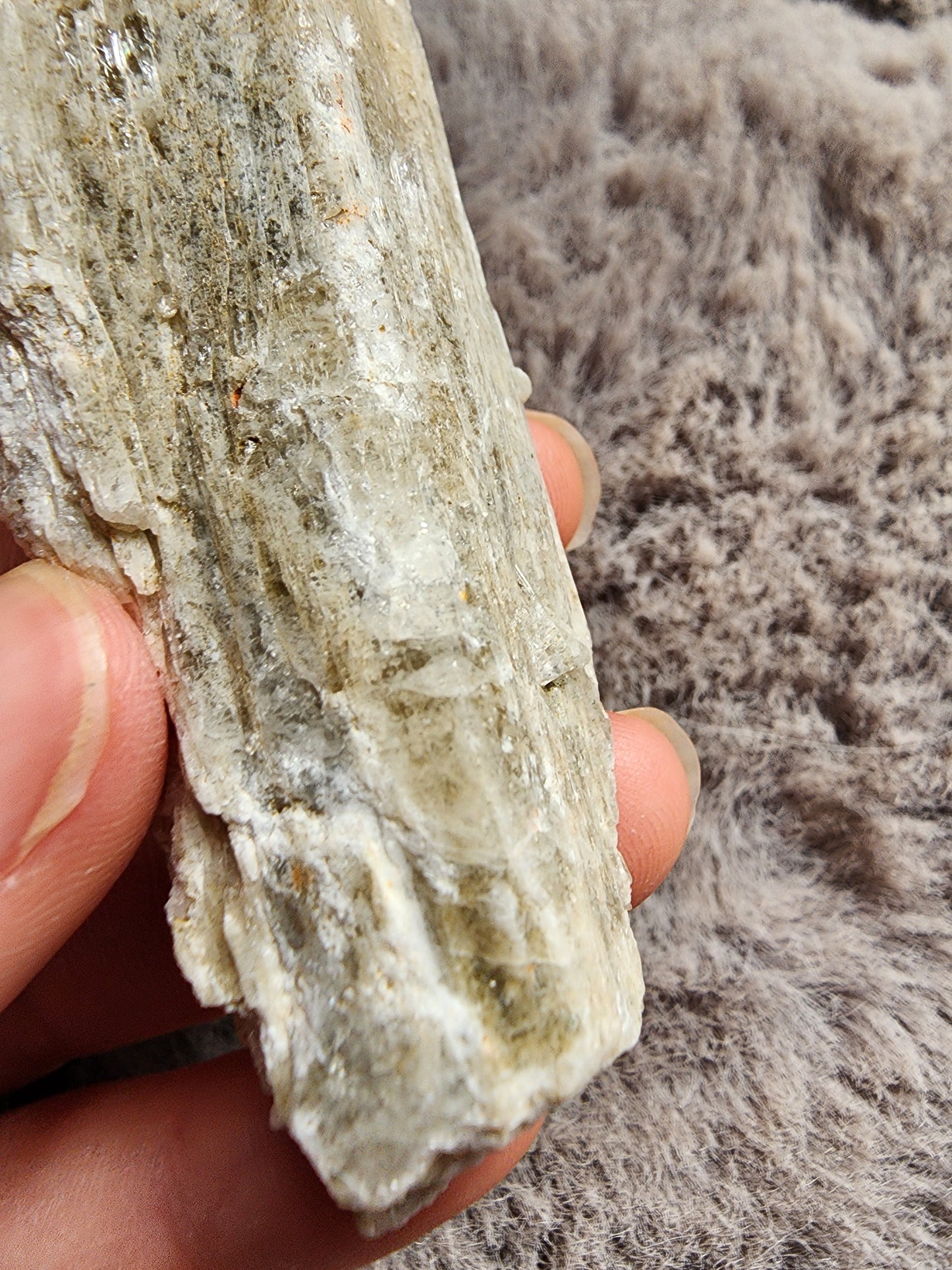 Danburite Crystal