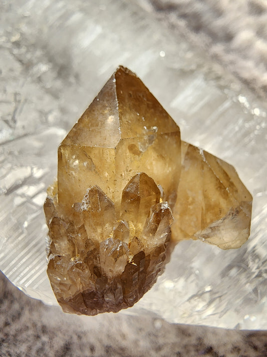 Congo Citrine