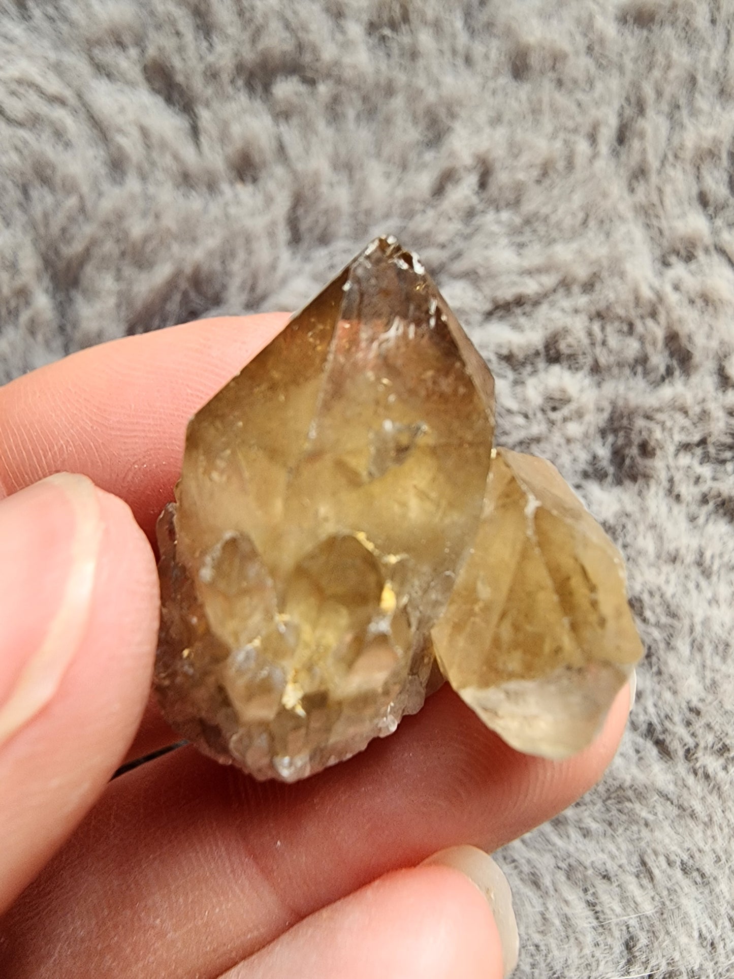 Congo Citrine