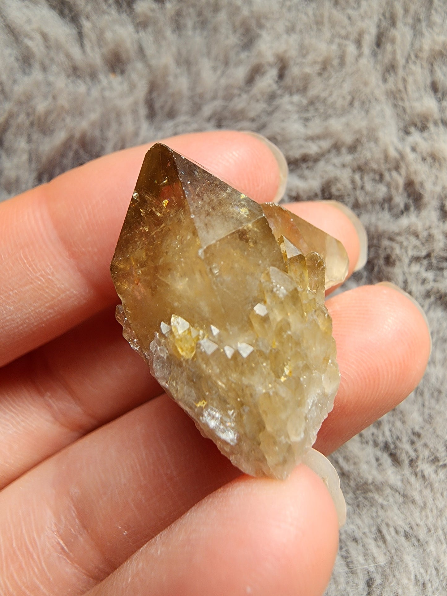 Congo Citrine