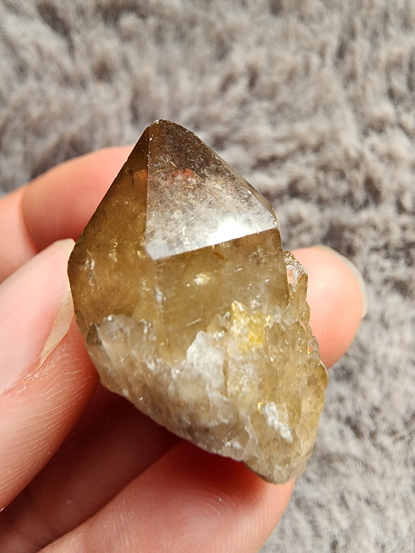 Congo Citrine