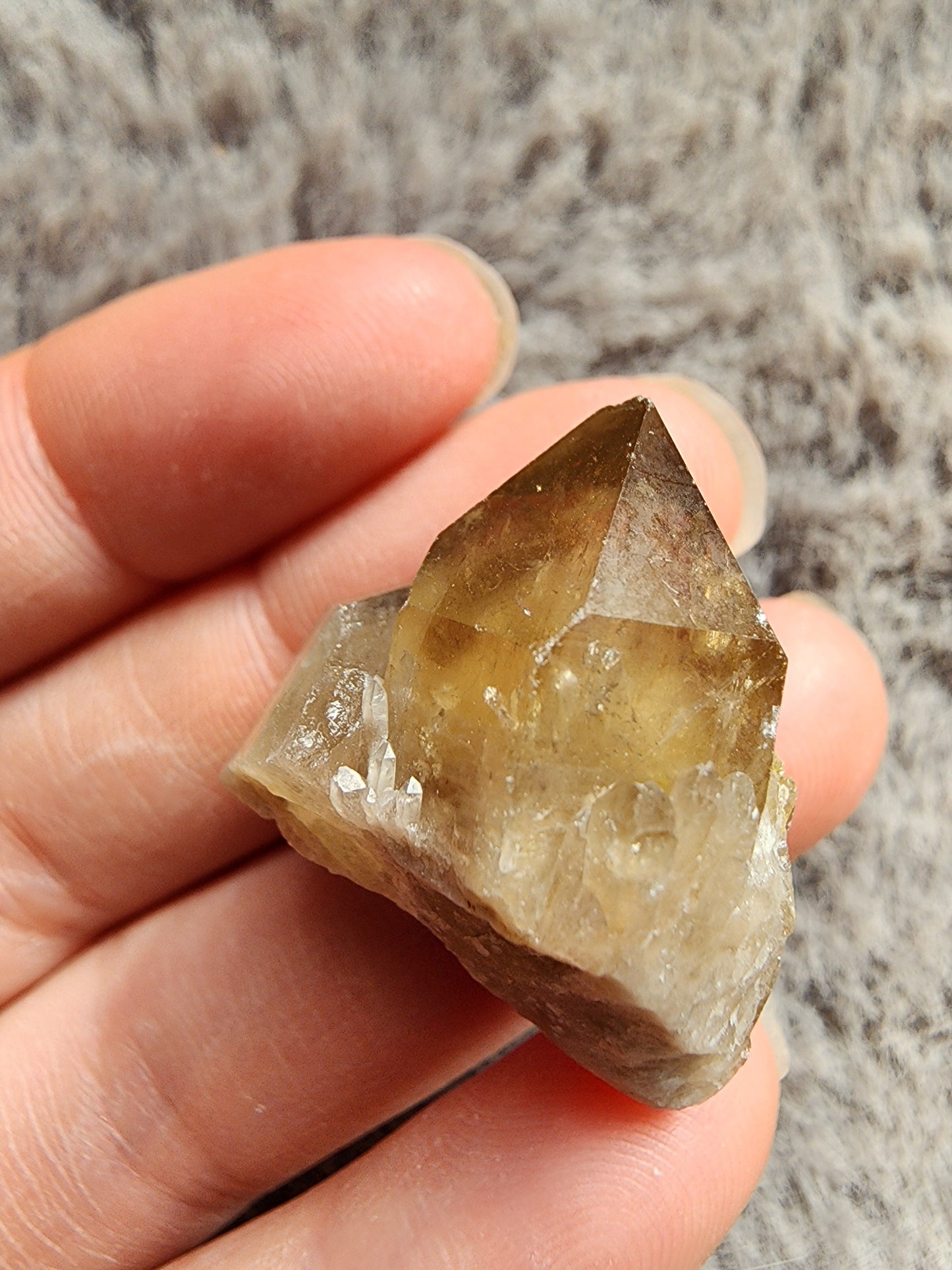 Congo Citrine