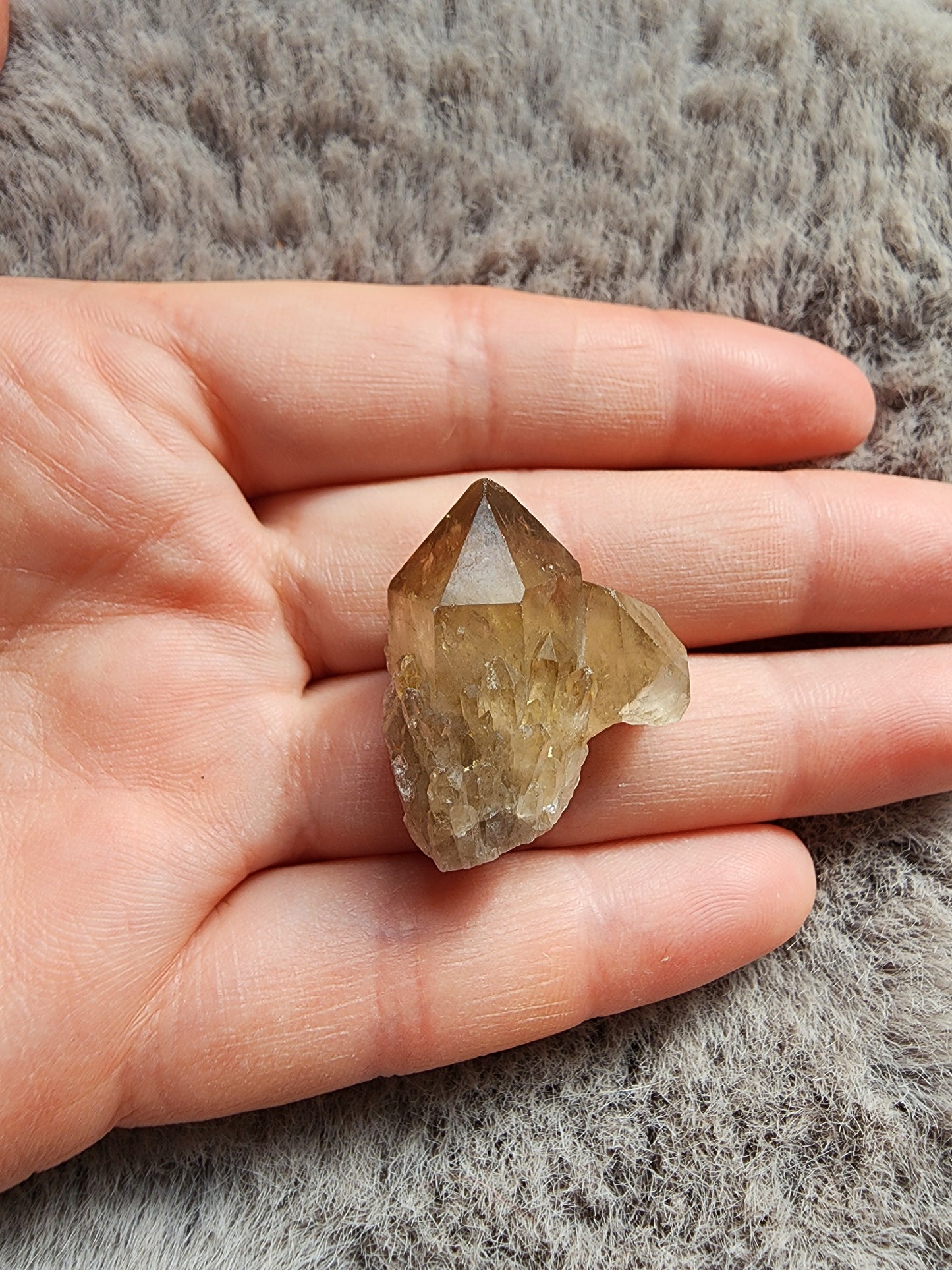 Congo Citrine