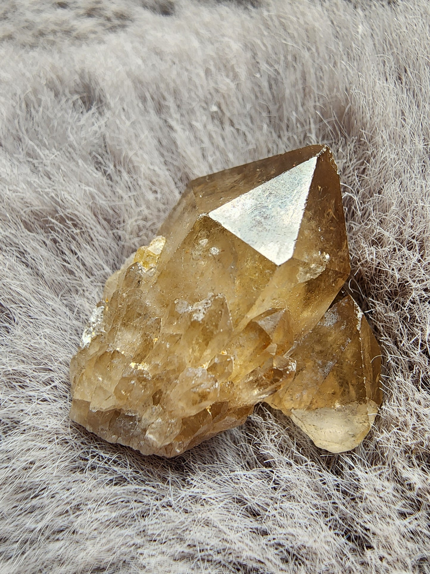 Congo Citrine