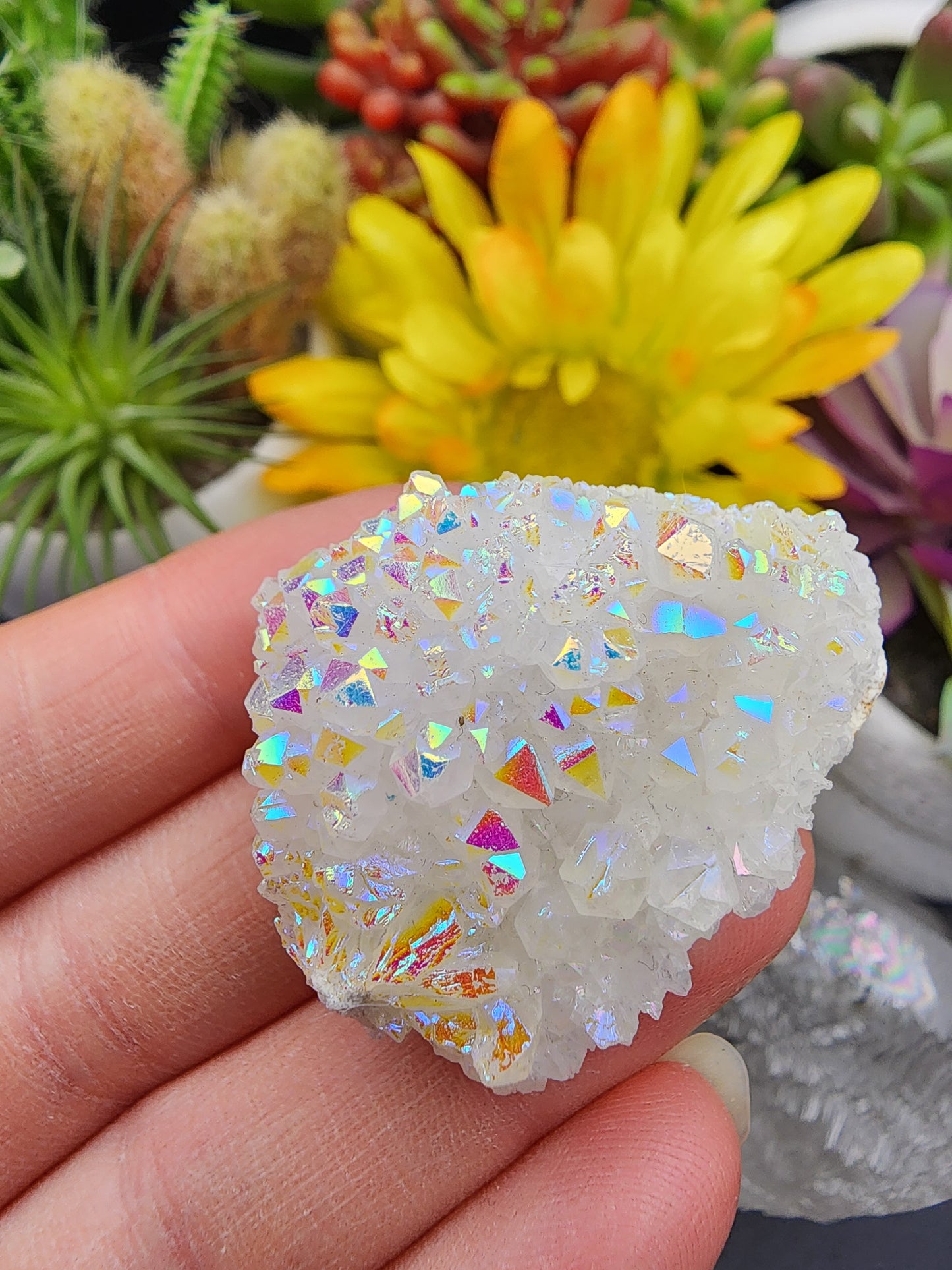 Angel Aura Cluster