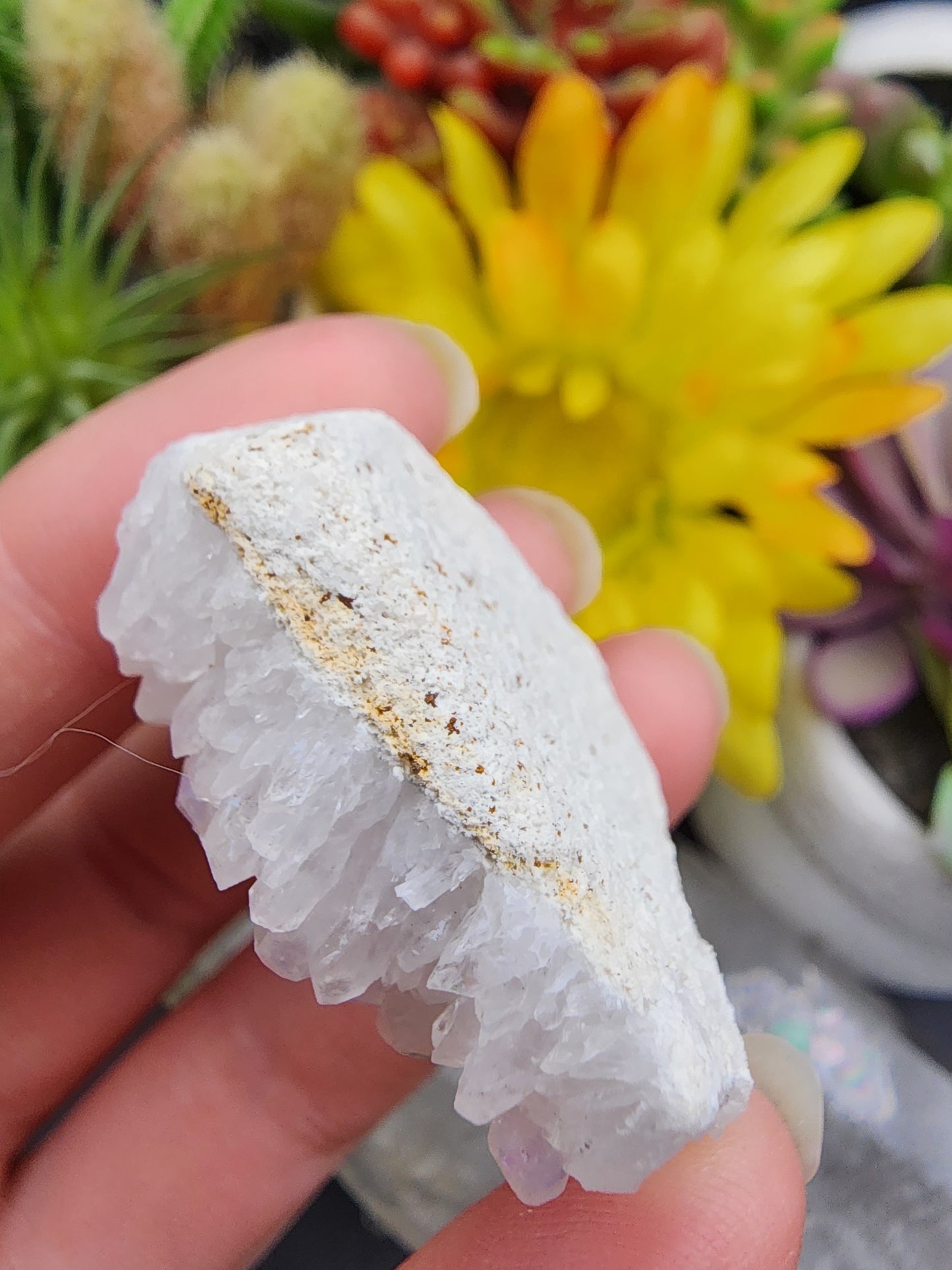 Angel Aura Cluster