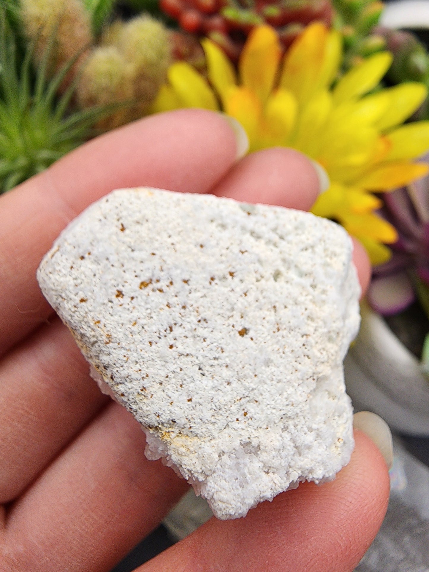 Angel Aura Cluster