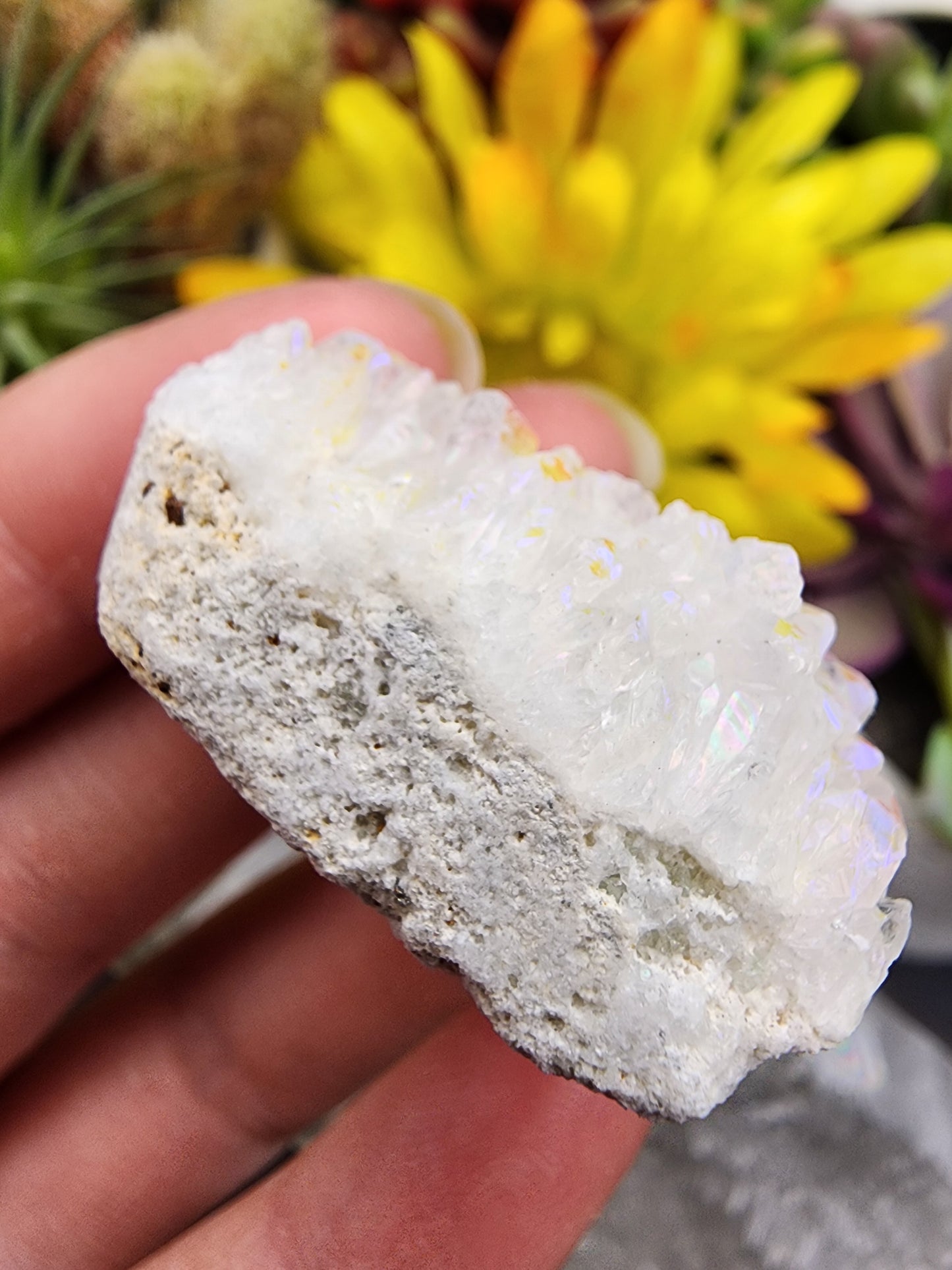 Angel Aura Cluster
