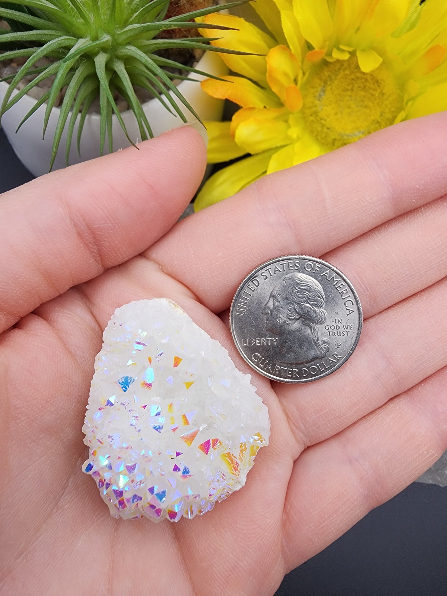 Angel Aura Cluster