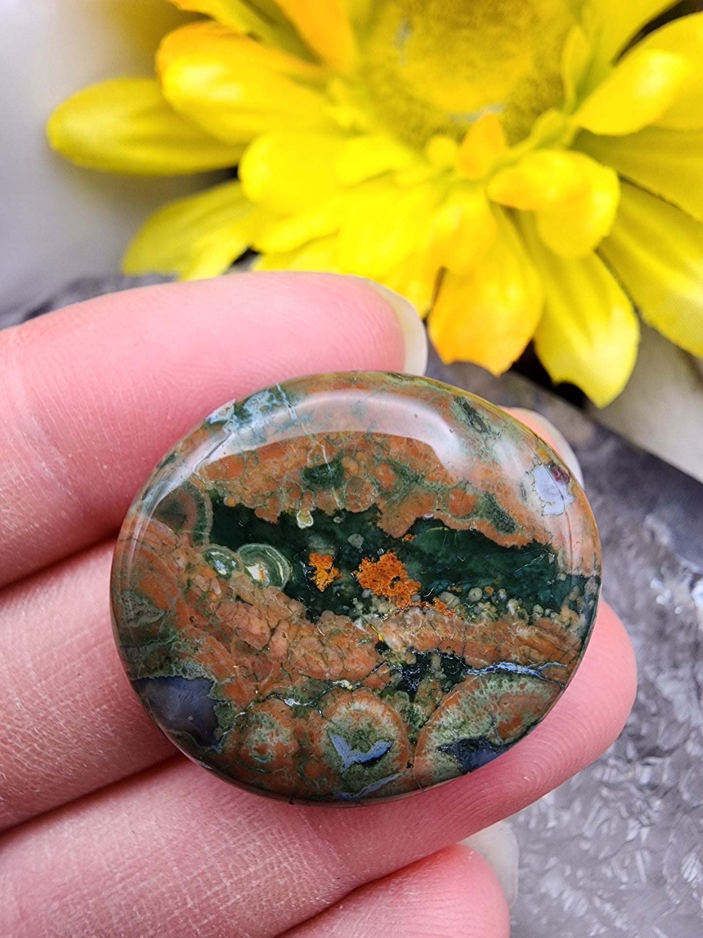 Rainforest Rhyolite Jasper