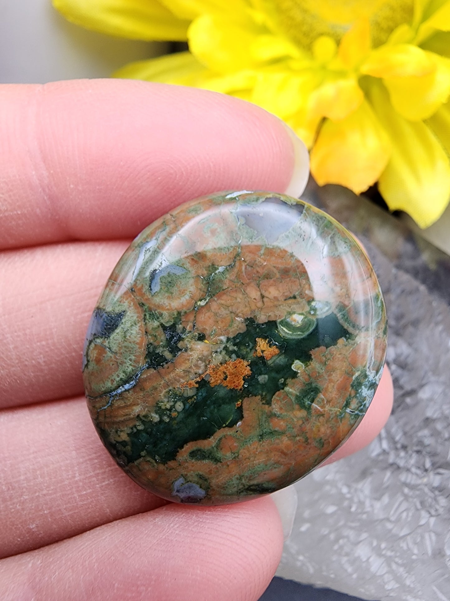Rainforest Rhyolite Jasper