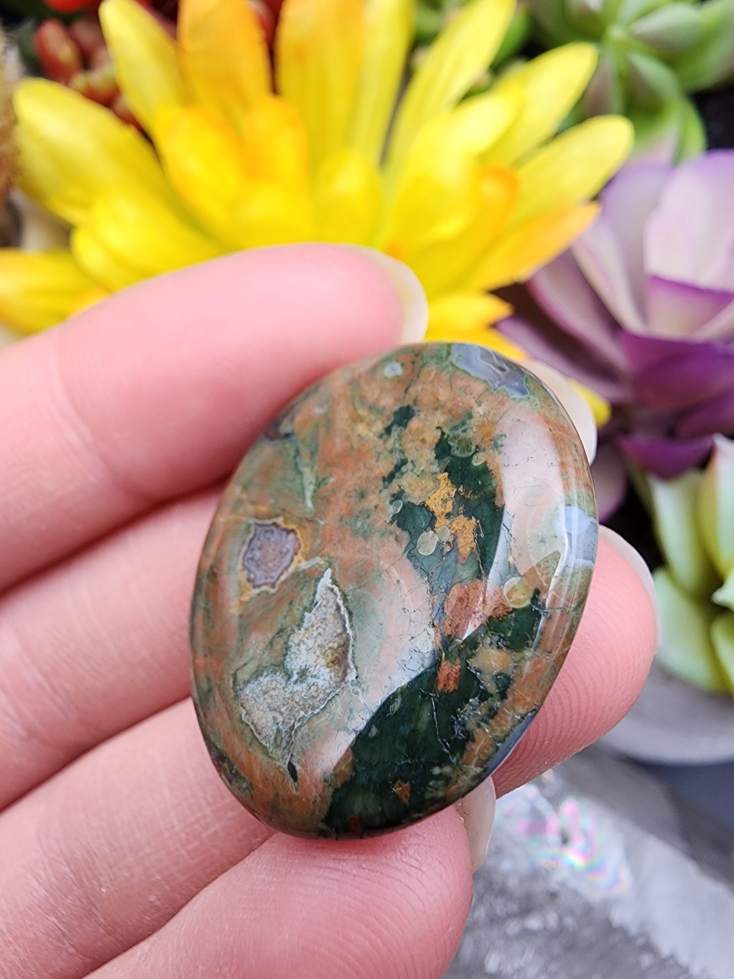 Rainforest Rhyolite Jasper