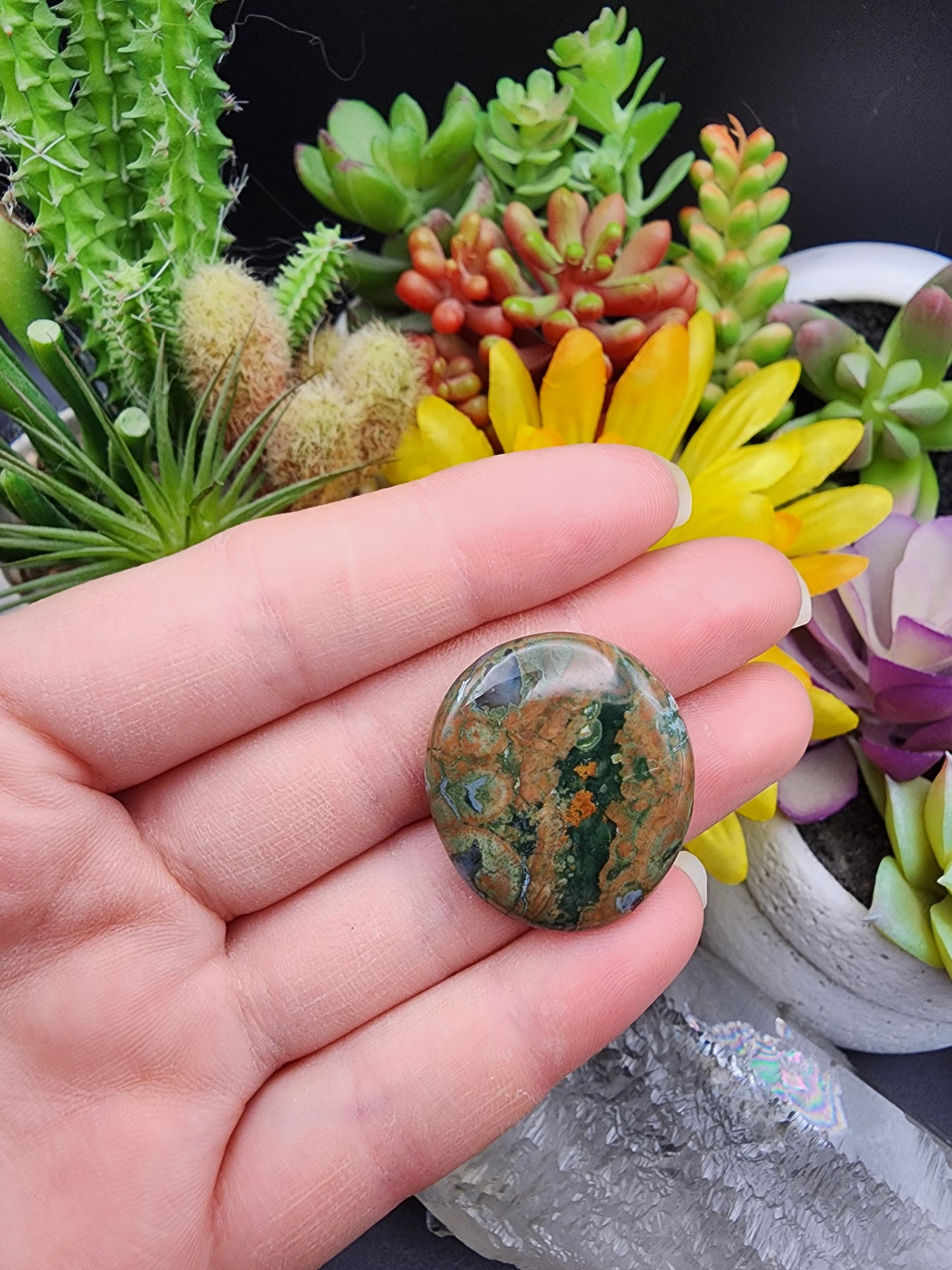 Rainforest Rhyolite Jasper
