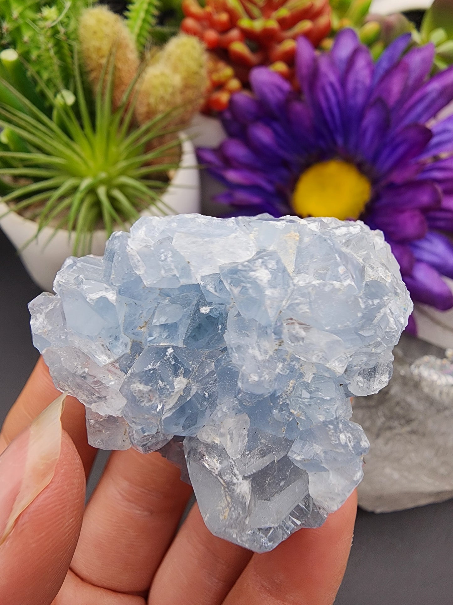 Celestite Cluster
