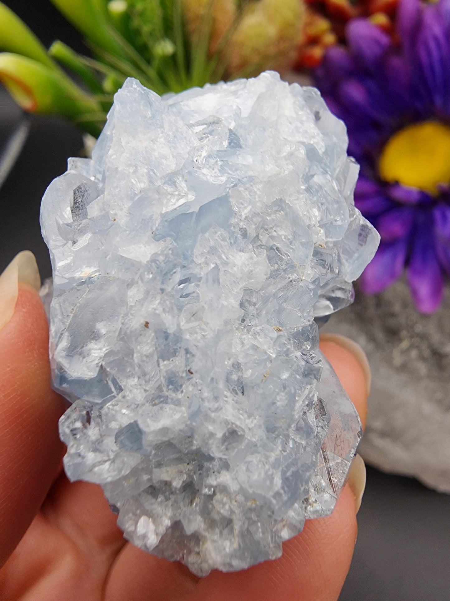 Celestite Cluster