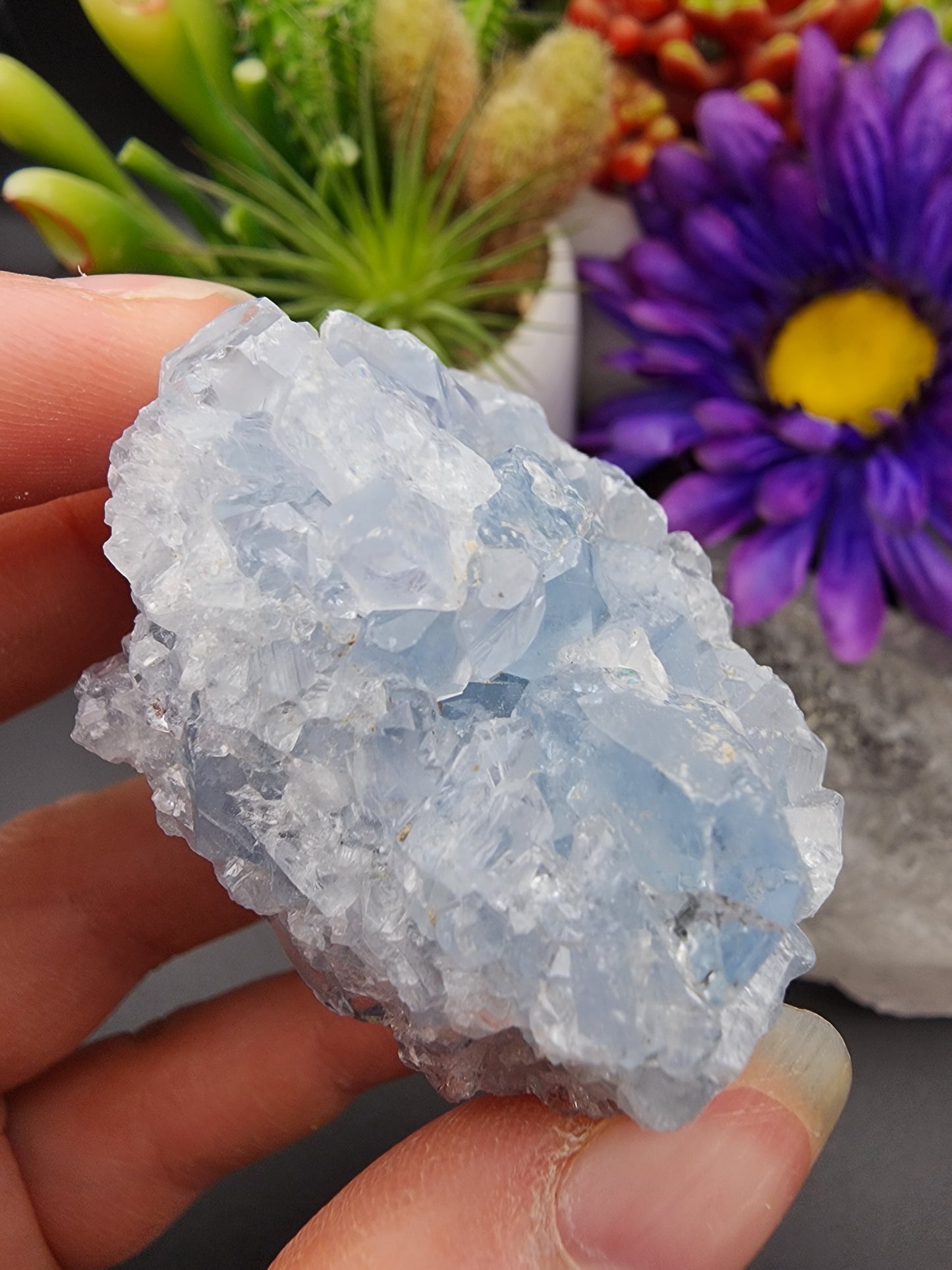 Celestite Cluster