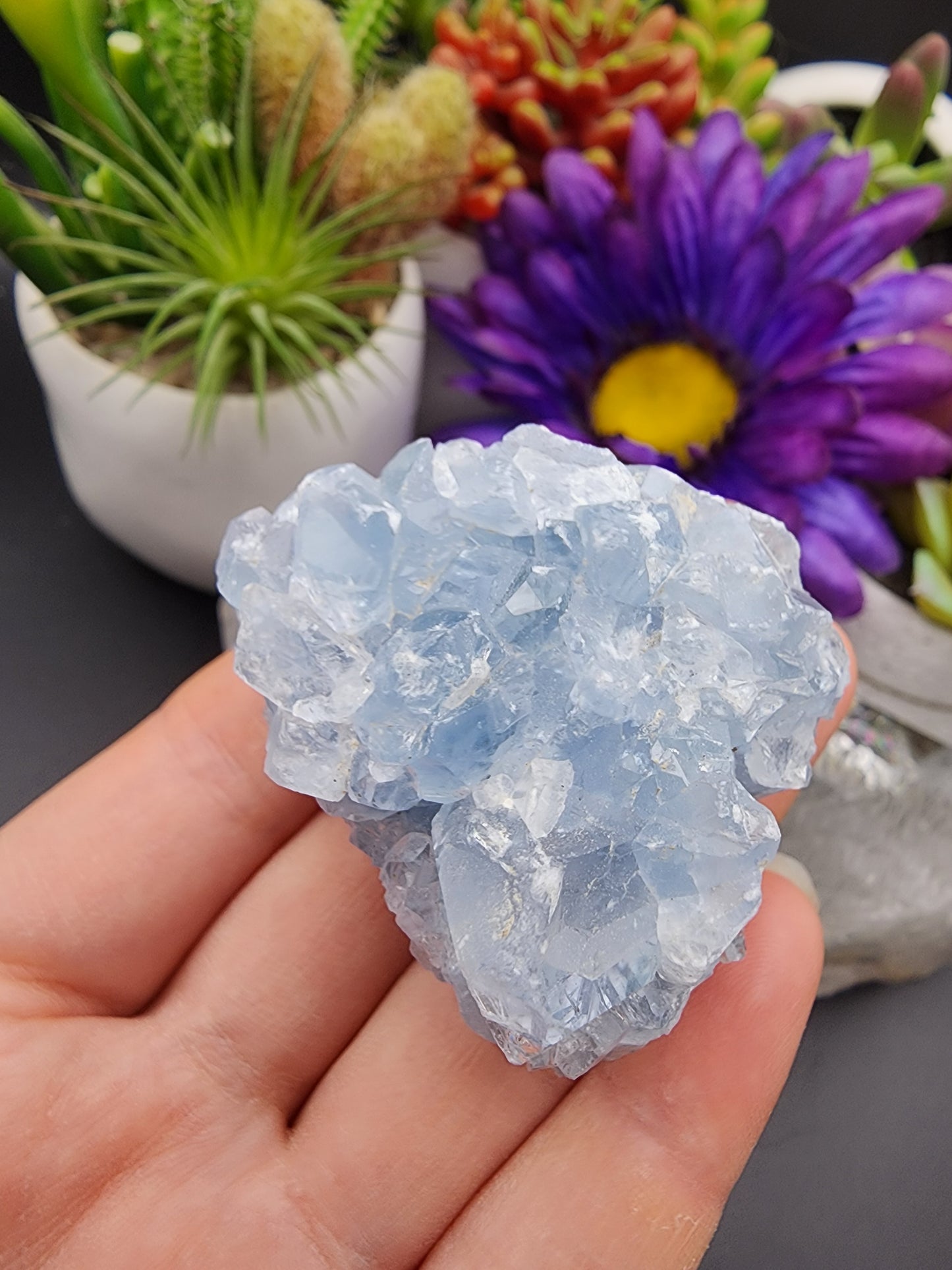 Celestite Cluster