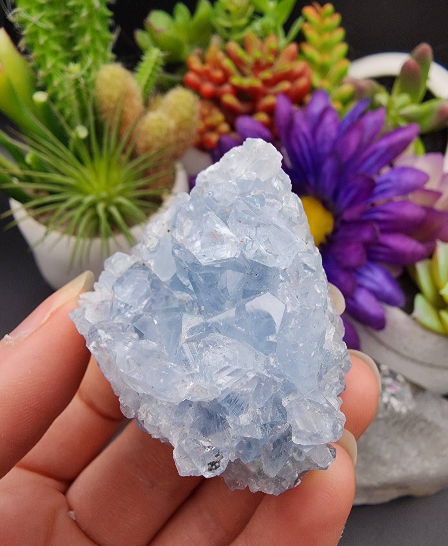 Celestite Cluster