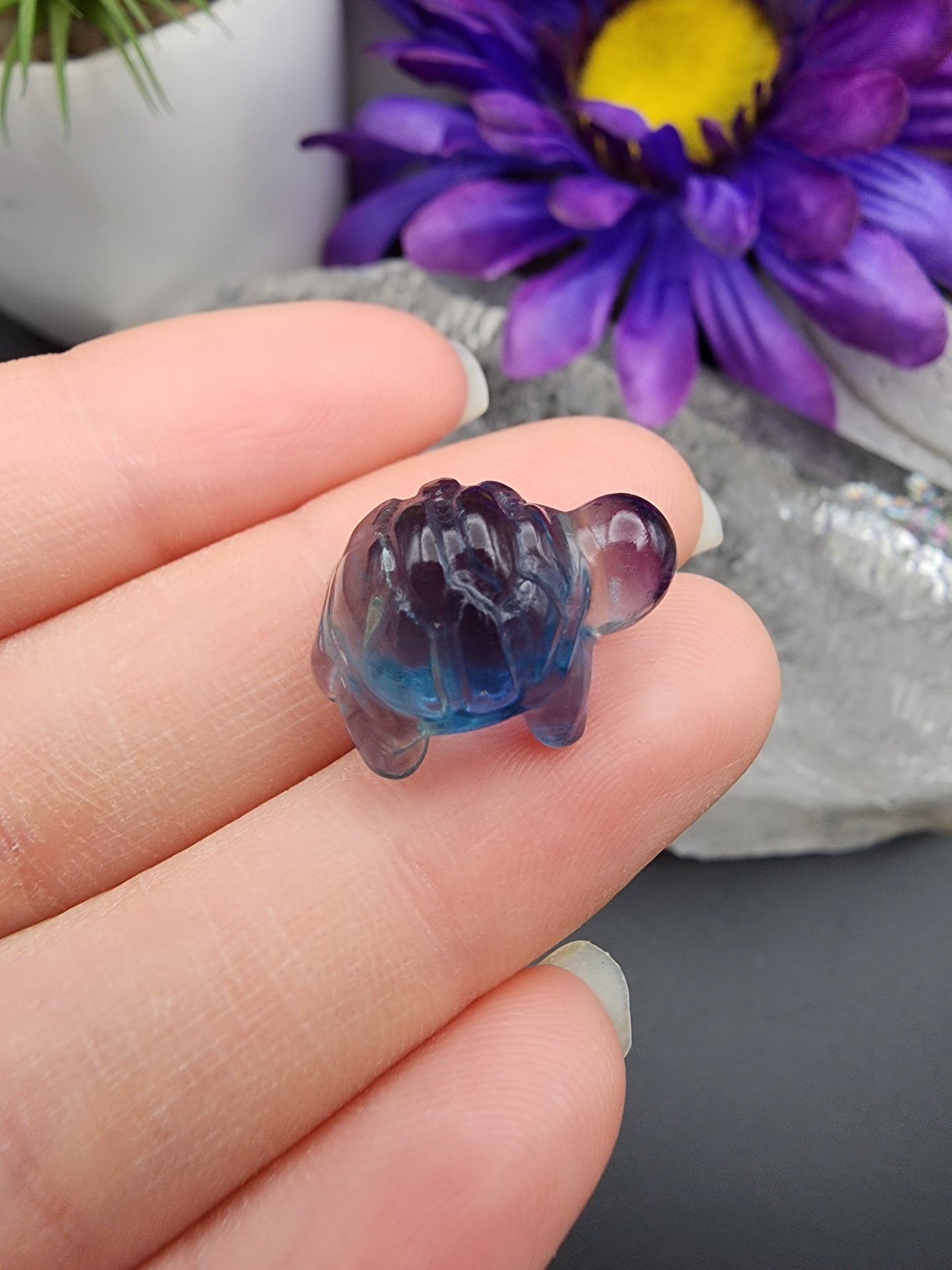 Fluorite Turtle