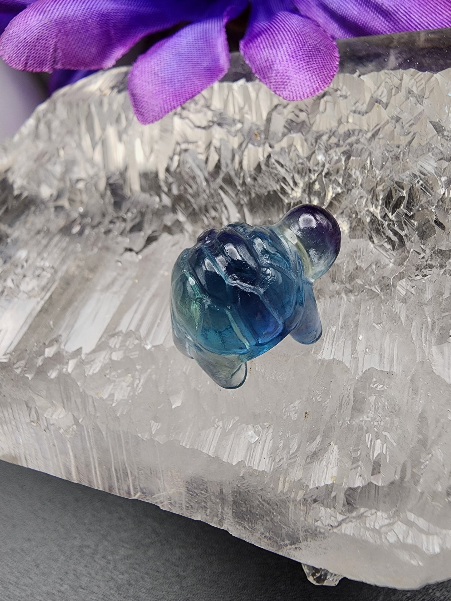 Fluorite Turtle