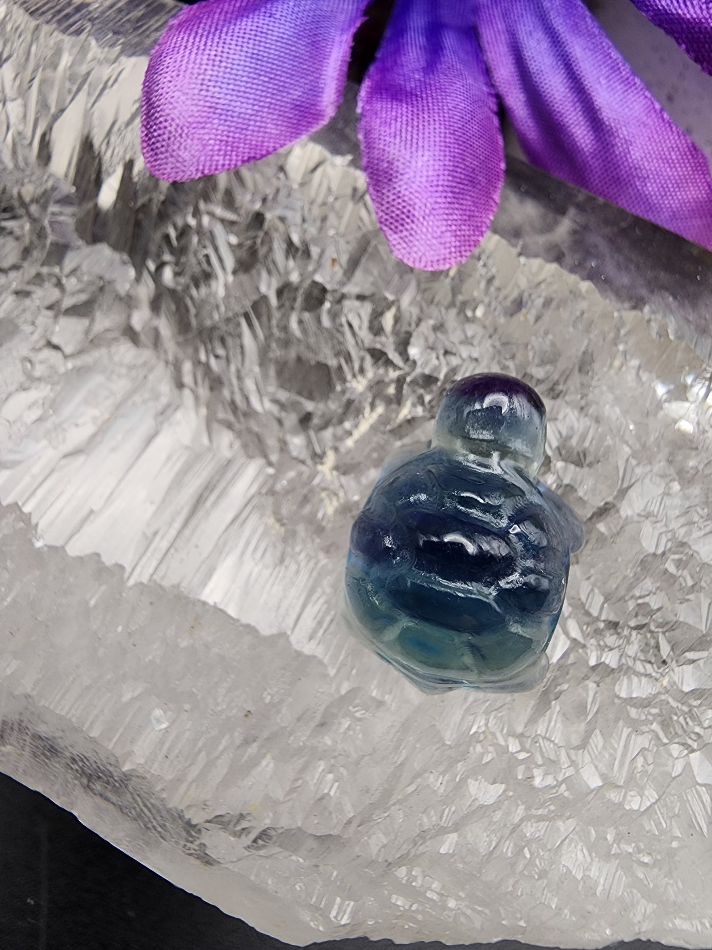 Fluorite Turtle