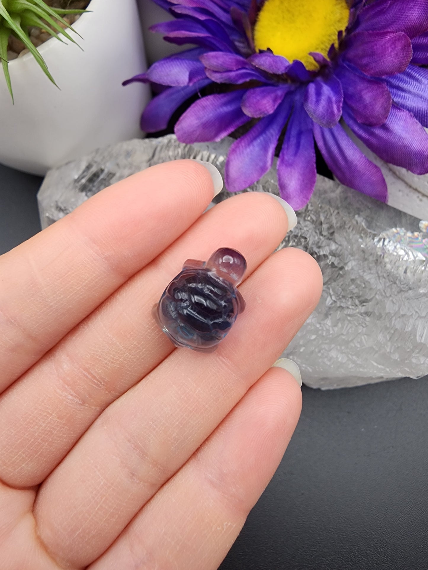 Fluorite Turtle