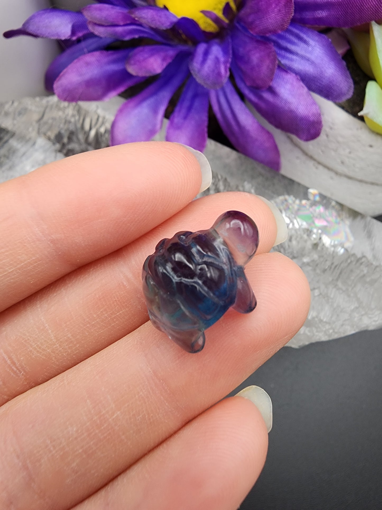 Fluorite Turtle
