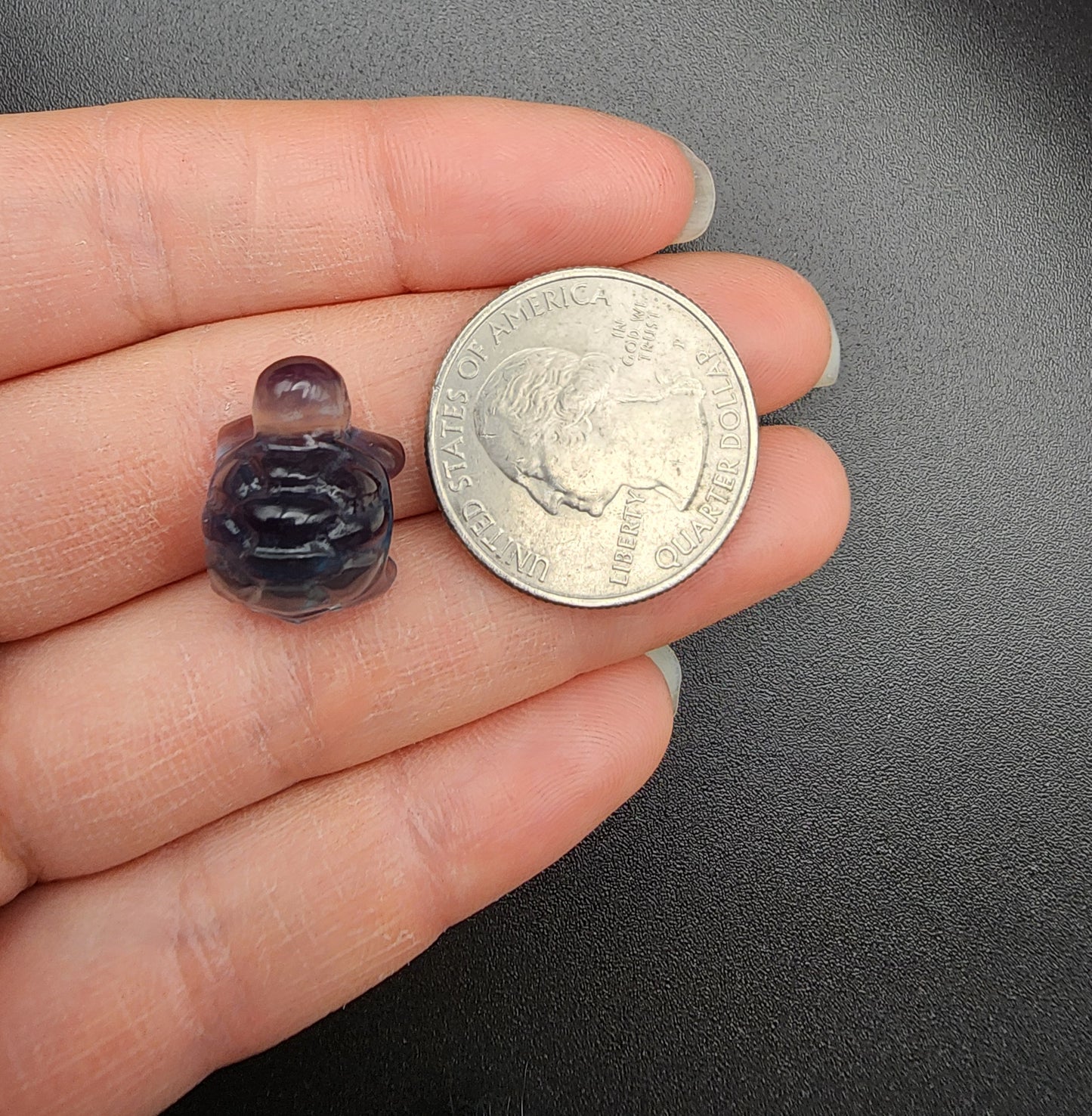 Fluorite Turtle