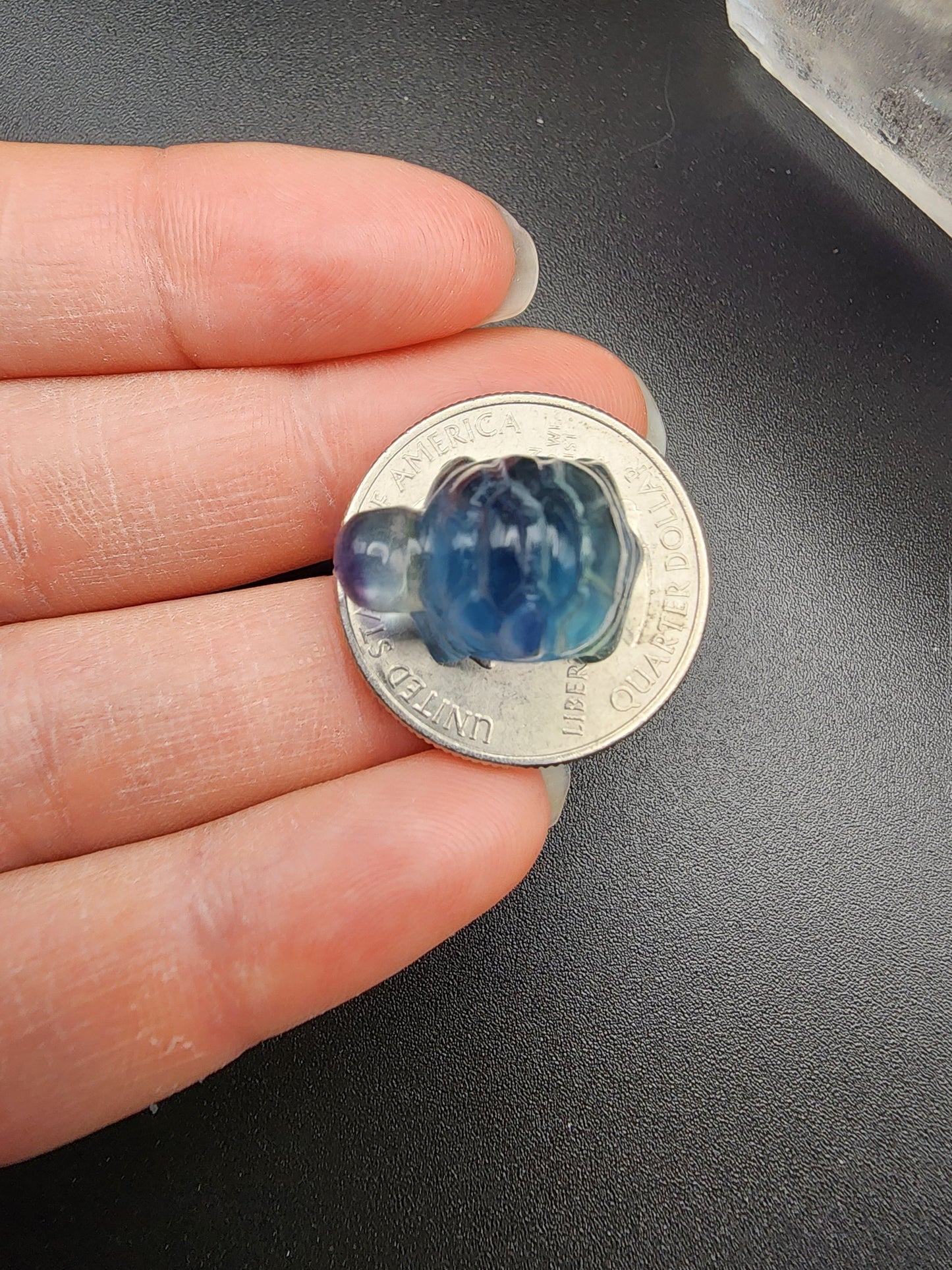 Fluorite Turtle