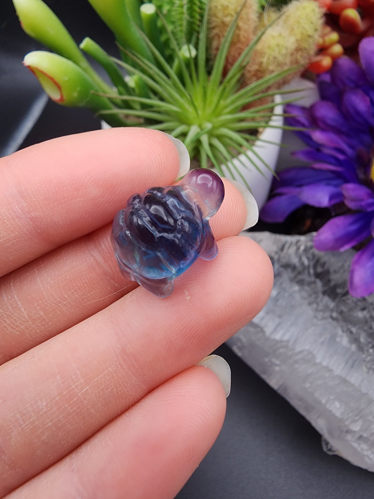 Fluorite Turtle