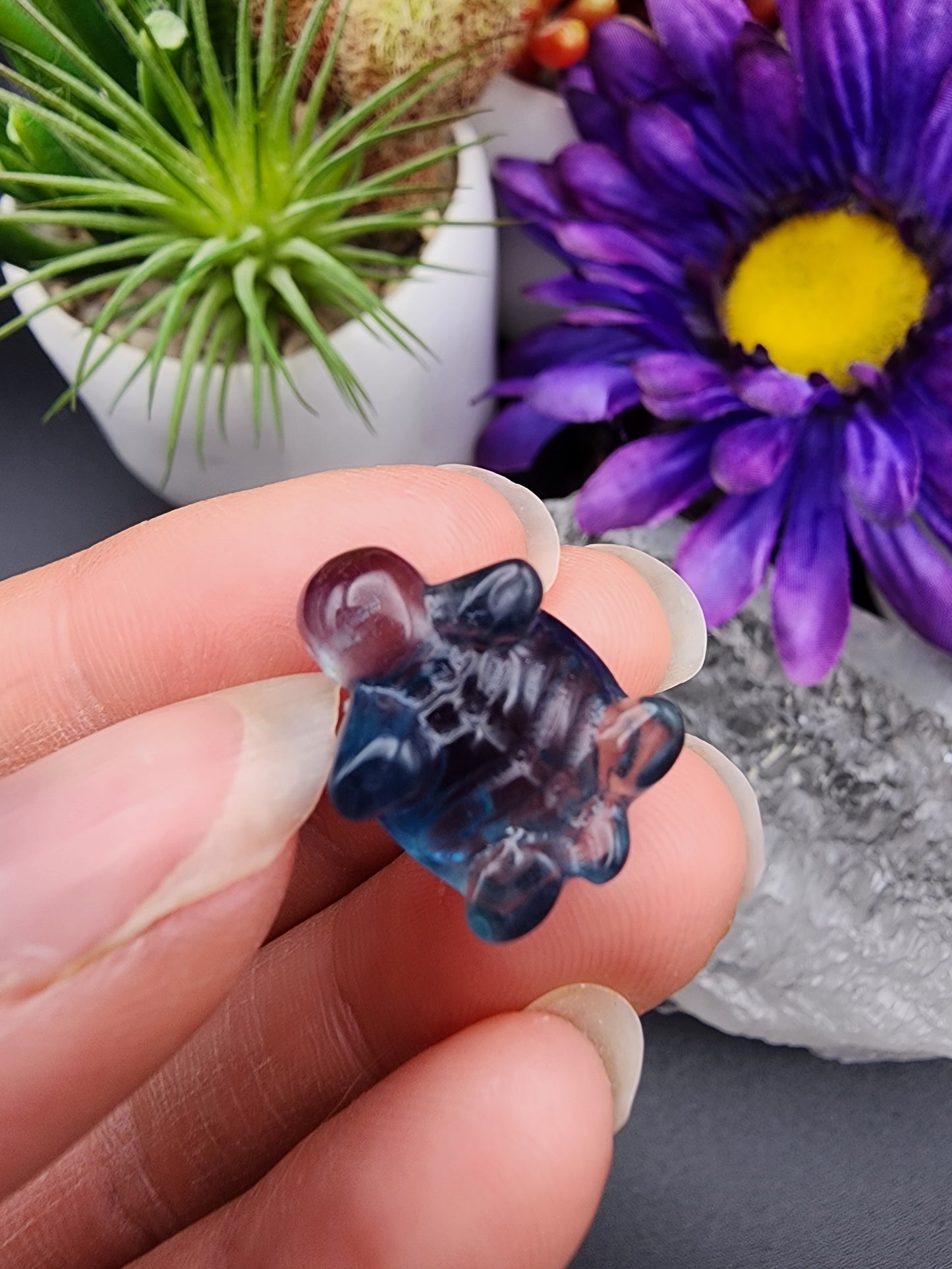 Fluorite Turtle