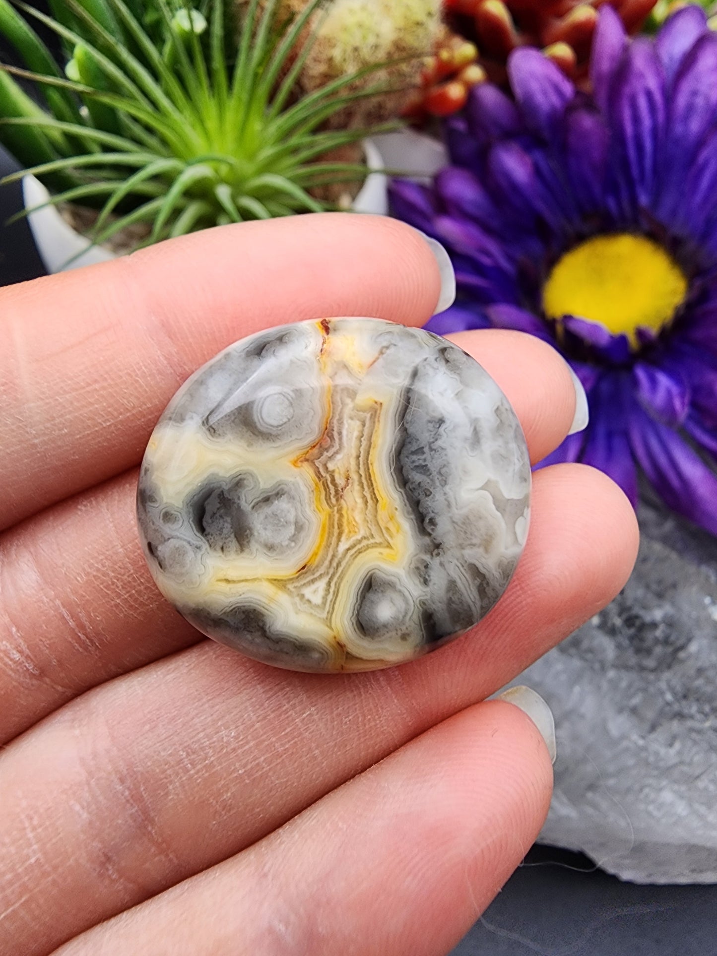 Crazy Lace Agate