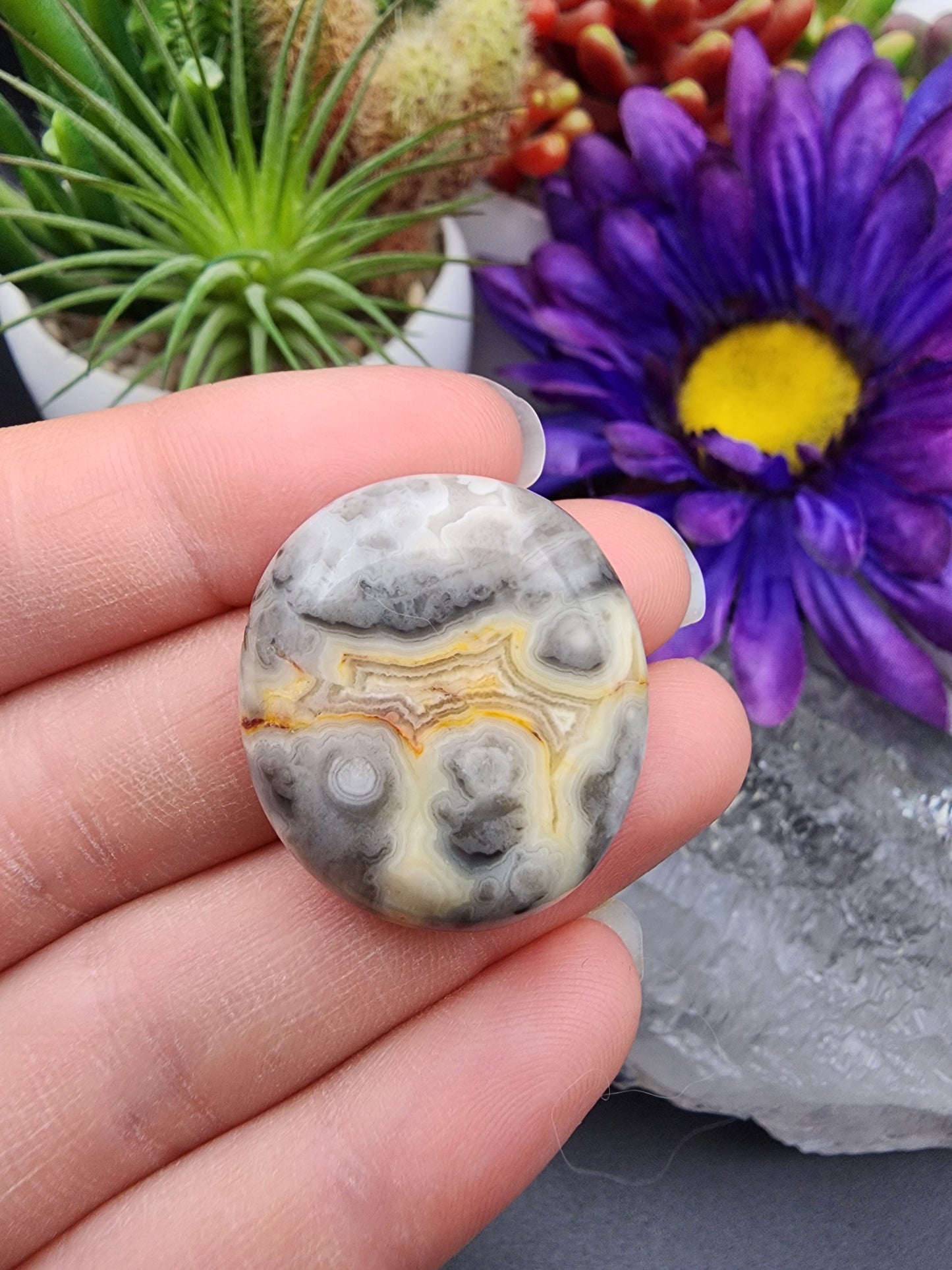 Crazy Lace Agate