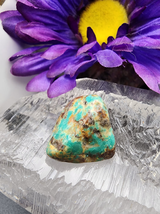 Turquoise Tumble